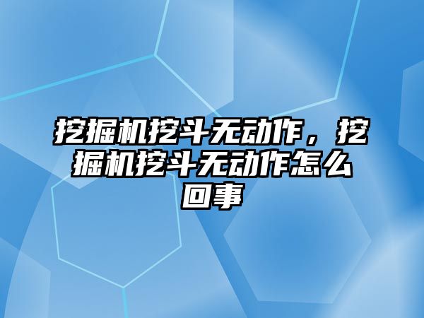 挖掘機挖斗無動作，挖掘機挖斗無動作怎么回事