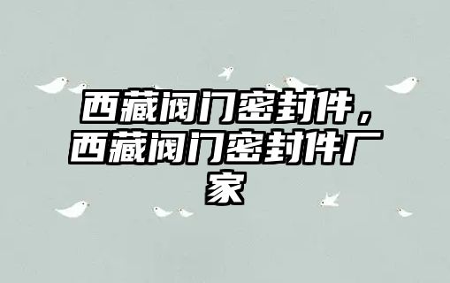 西藏閥門密封件，西藏閥門密封件廠家