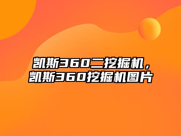 凱斯360二挖掘機，凱斯360挖掘機圖片