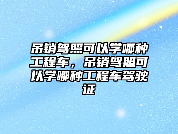 吊銷駕照可以學哪種工程車，吊銷駕照可以學哪種工程車駕駛證