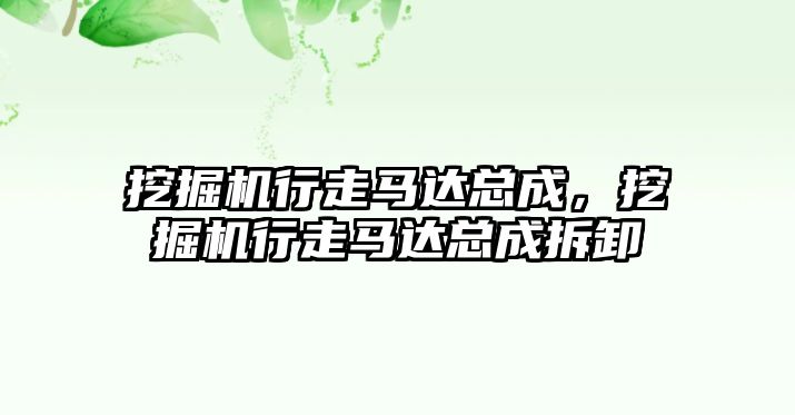 挖掘機行走馬達總成，挖掘機行走馬達總成拆卸