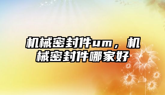 機械密封件um，機械密封件哪家好