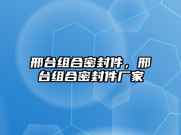 邢臺(tái)組合密封件，邢臺(tái)組合密封件廠家