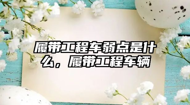 履帶工程車(chē)弱點(diǎn)是什么，履帶工程車(chē)輛