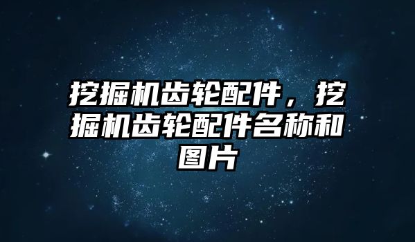 挖掘機齒輪配件，挖掘機齒輪配件名稱和圖片