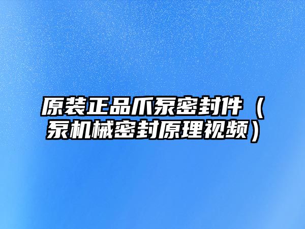 原裝正品爪泵密封件（泵機(jī)械密封原理視頻）