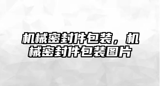 機(jī)械密封件包裝，機(jī)械密封件包裝圖片