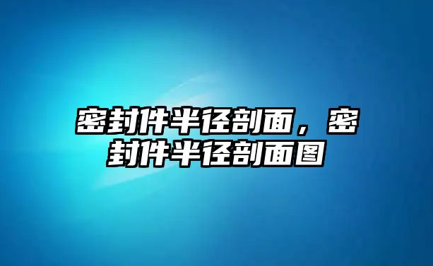 密封件半徑剖面，密封件半徑剖面圖