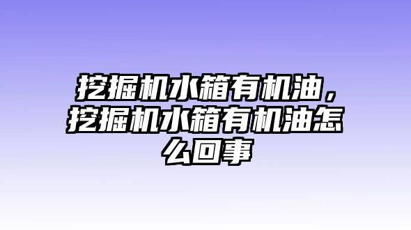 挖掘機水箱有機油，挖掘機水箱有機油怎么回事