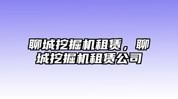 聊城挖掘機(jī)租賃，聊城挖掘機(jī)租賃公司