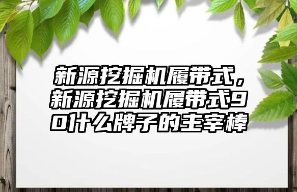 新源挖掘機履帶式，新源挖掘機履帶式90什么牌子的主宰棒