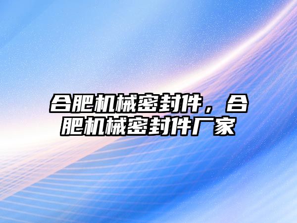 合肥機(jī)械密封件，合肥機(jī)械密封件廠家