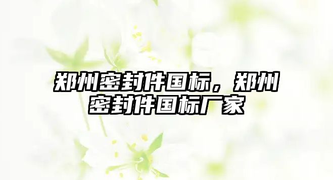 鄭州密封件國標，鄭州密封件國標廠家