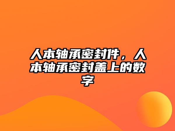 人本軸承密封件，人本軸承密封蓋上的數(shù)字