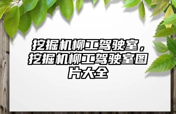 挖掘機柳工駕駛室，挖掘機柳工駕駛室圖片大全