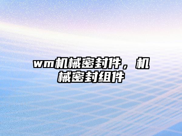 wm機械密封件，機械密封組件