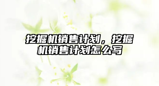 挖掘機銷售計劃，挖掘機銷售計劃怎么寫