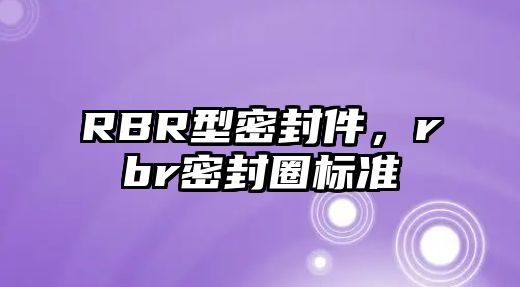 RBR型密封件，rbr密封圈標(biāo)準(zhǔn)