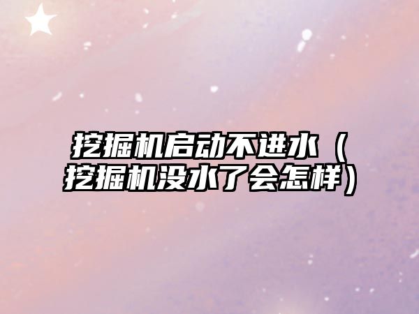 挖掘機啟動不進水（挖掘機沒水了會怎樣）