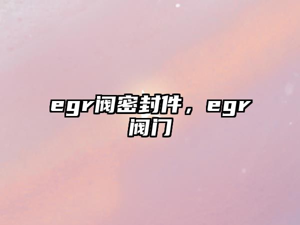 egr閥密封件，egr閥門