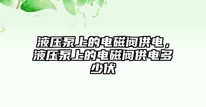 液壓泵上的電磁閥供電，液壓泵上的電磁閥供電多少伏