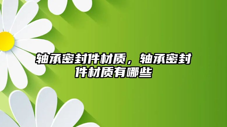 軸承密封件材質(zhì)，軸承密封件材質(zhì)有哪些