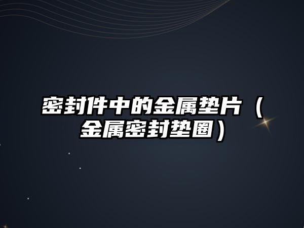 密封件中的金屬墊片（金屬密封墊圈）