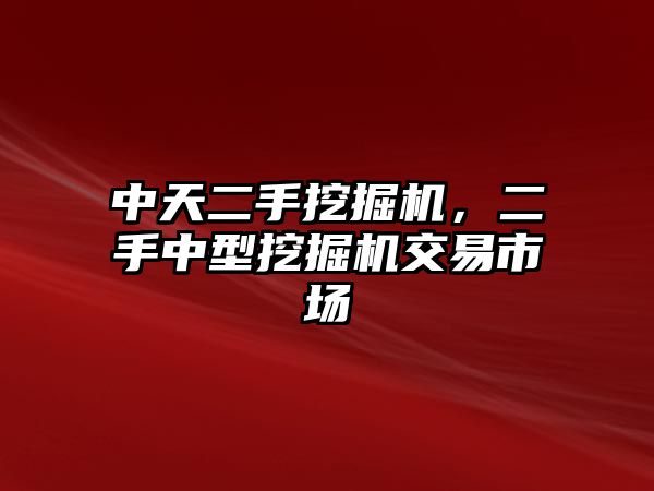 中天二手挖掘機，二手中型挖掘機交易市場