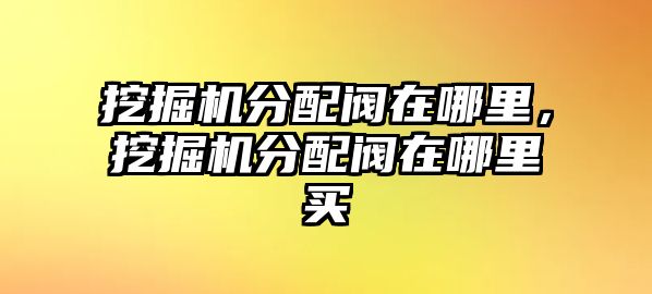 挖掘機(jī)分配閥在哪里，挖掘機(jī)分配閥在哪里買