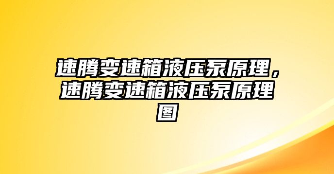 速騰變速箱液壓泵原理，速騰變速箱液壓泵原理圖