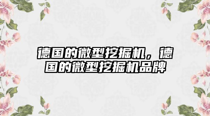 德國的微型挖掘機(jī)，德國的微型挖掘機(jī)品牌