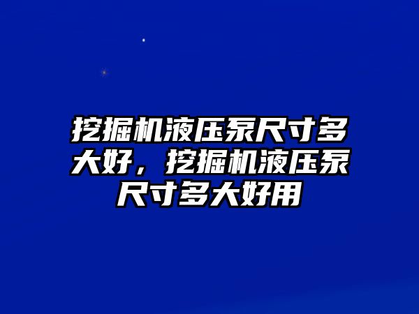 挖掘機液壓泵尺寸多大好，挖掘機液壓泵尺寸多大好用