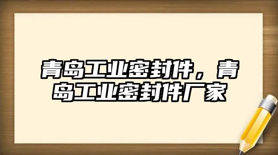 青島工業(yè)密封件，青島工業(yè)密封件廠家