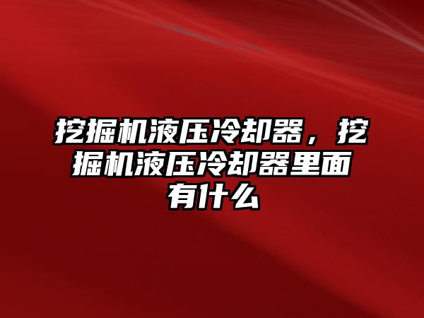 挖掘機(jī)液壓冷卻器，挖掘機(jī)液壓冷卻器里面有什么