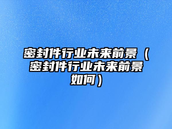 密封件行業(yè)未來前景（密封件行業(yè)未來前景如何）