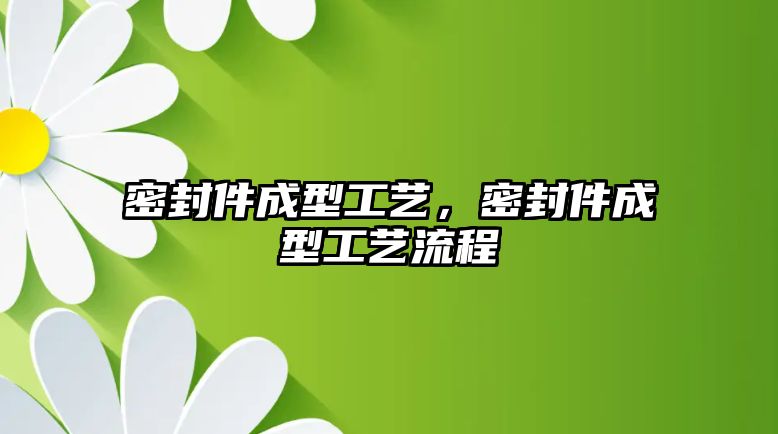 密封件成型工藝，密封件成型工藝流程