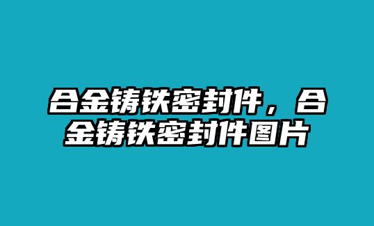 合金鑄鐵密封件，合金鑄鐵密封件圖片