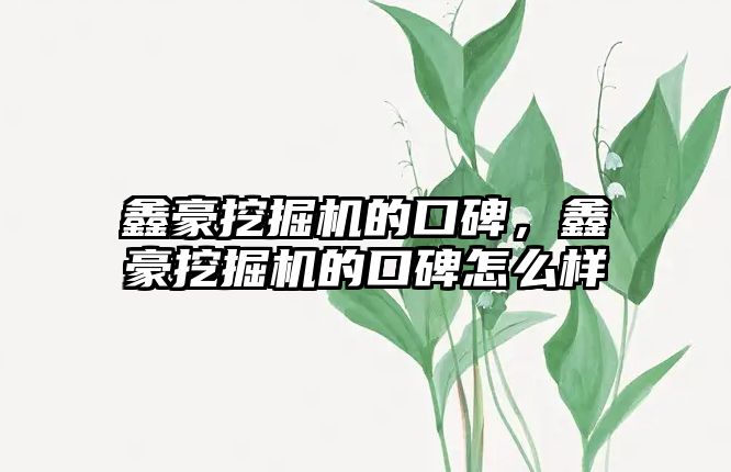 鑫豪挖掘機的口碑，鑫豪挖掘機的口碑怎么樣