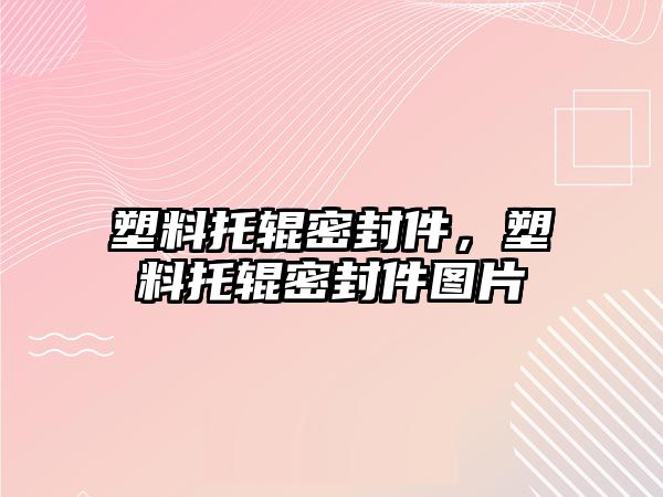 塑料托輥密封件，塑料托輥密封件圖片