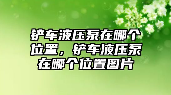 鏟車液壓泵在哪個位置，鏟車液壓泵在哪個位置圖片