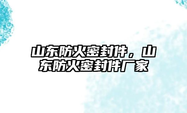 山東防火密封件，山東防火密封件廠家