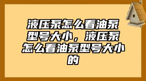 液壓泵怎么看油泵型號大小，液壓泵怎么看油泵型號大小的