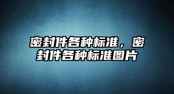 密封件各種標準，密封件各種標準圖片