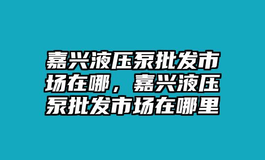 嘉興液壓泵批發(fā)市場(chǎng)在哪，嘉興液壓泵批發(fā)市場(chǎng)在哪里