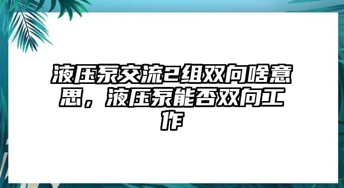 液壓泵交流2組雙向啥意思，液壓泵能否雙向工作