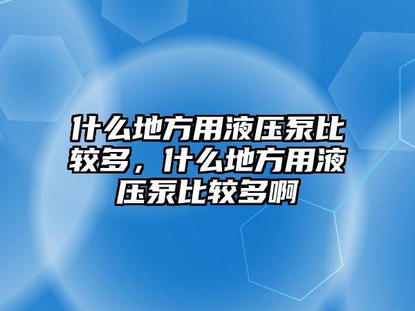 什么地方用液壓泵比較多，什么地方用液壓泵比較多啊