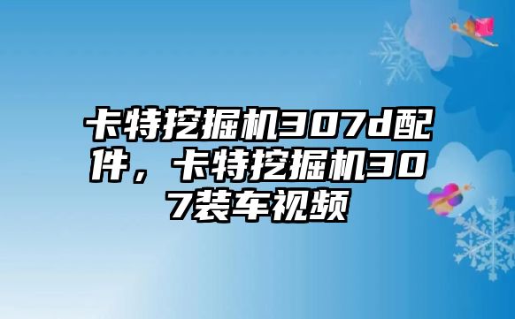 卡特挖掘機307d配件，卡特挖掘機307裝車視頻