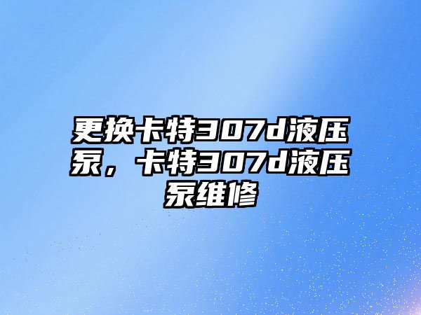 更換卡特307d液壓泵，卡特307d液壓泵維修