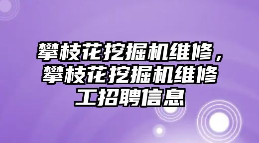 攀枝花挖掘機維修，攀枝花挖掘機維修工招聘信息