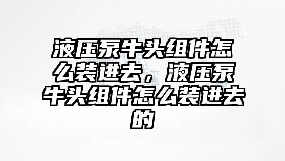 液壓泵牛頭組件怎么裝進(jìn)去，液壓泵牛頭組件怎么裝進(jìn)去的